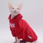 PlayStation 5 - Imagem 4